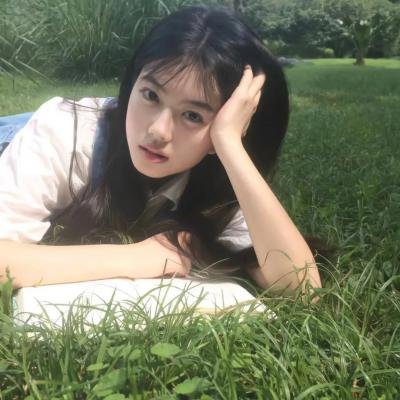 杜宾巡官:布列塔尼的秘密海报